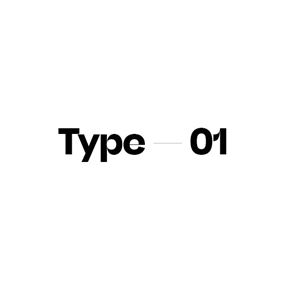 Type 01