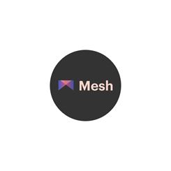 Mesh